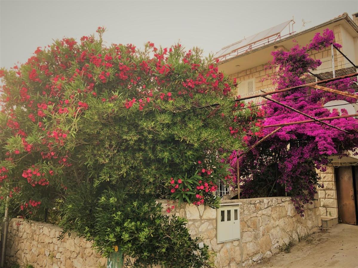 Apartmán Cozy New Flat For 2 Or 3 Hvar Town Exteriér fotografie