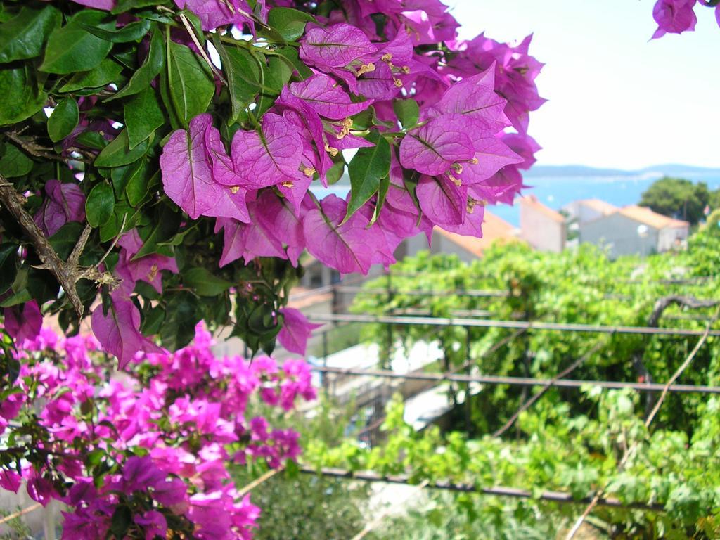 Apartmán Cozy New Flat For 2 Or 3 Hvar Town Exteriér fotografie